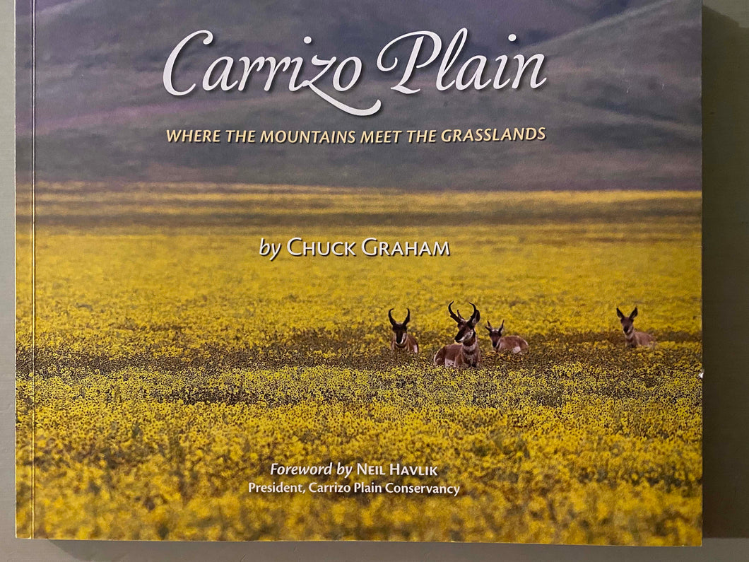 Carrizo Plain | Where the Mountains Meet the Grasslands | Chuck Graham